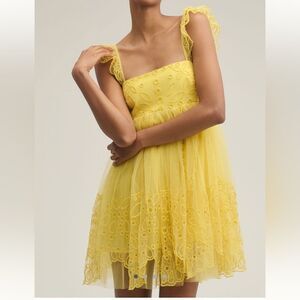 NWT Anthropologie Tulle Mini Dress